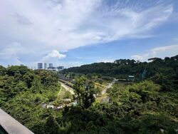 Normanton Park (D5), Apartment #557859611